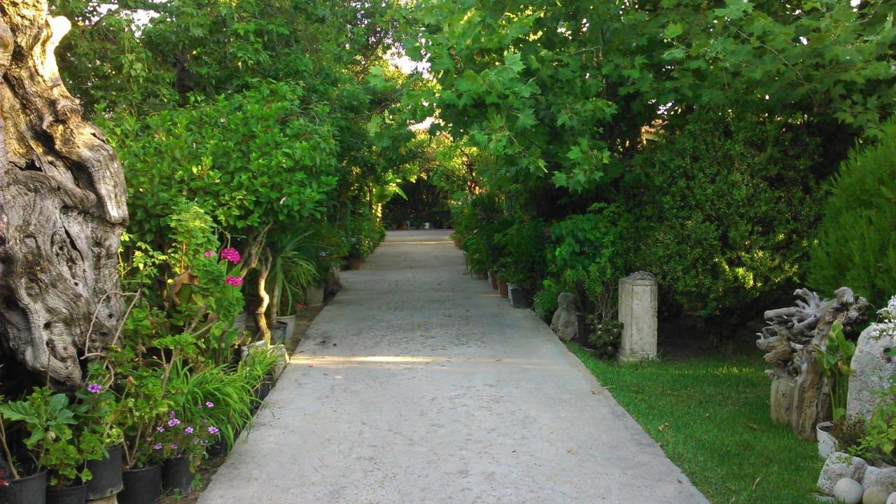 Baha-Ammes Apartment สโวโรนาตา ภายนอก รูปภาพ